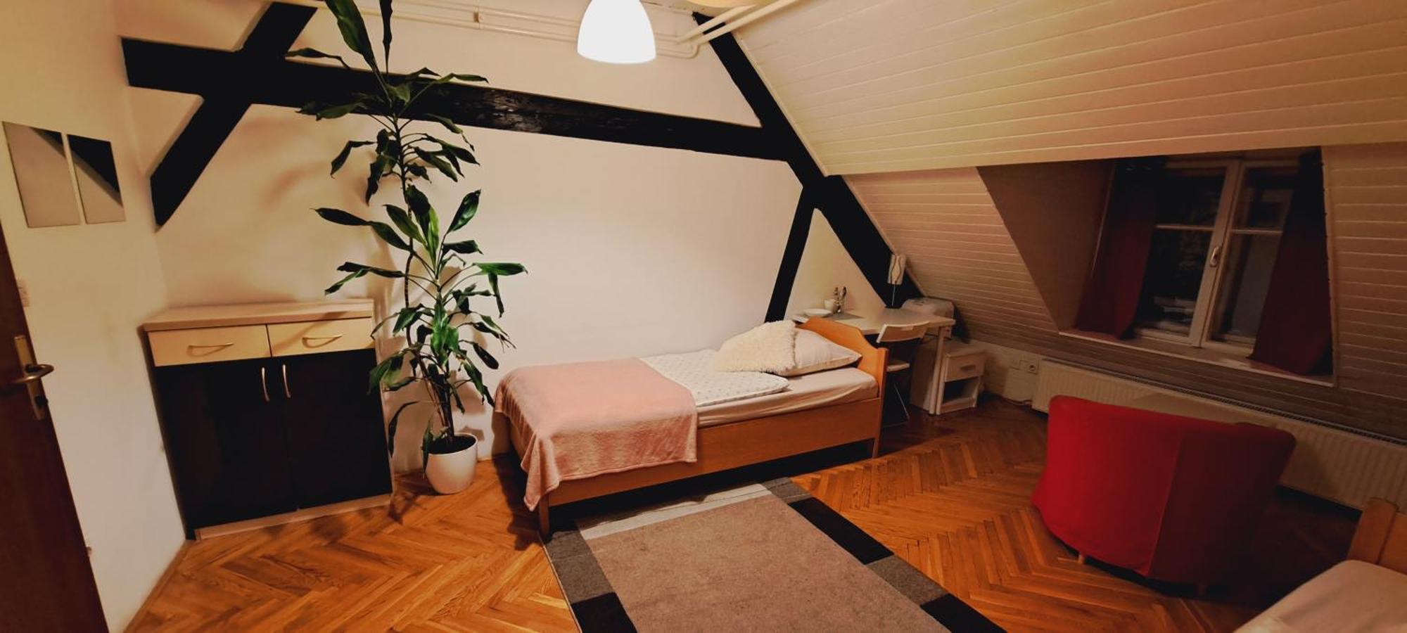 Viksi Hostel Ljubljana Rum bild